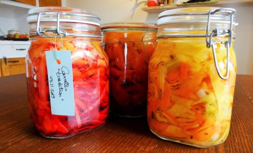 Lacto-fermentez tous vos légumes !