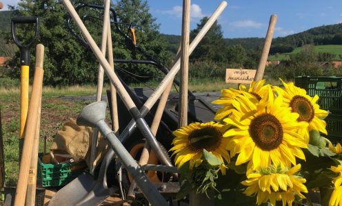 Fête de l&rsquo;été, 24 juin 2023