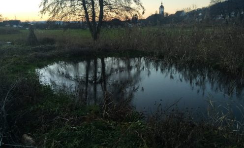 Une mare pour la biodiversité