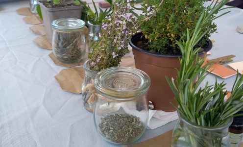 Une bien jolie Fête de la Nature