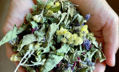 Comment créer des tisanes vivantes et bonnes