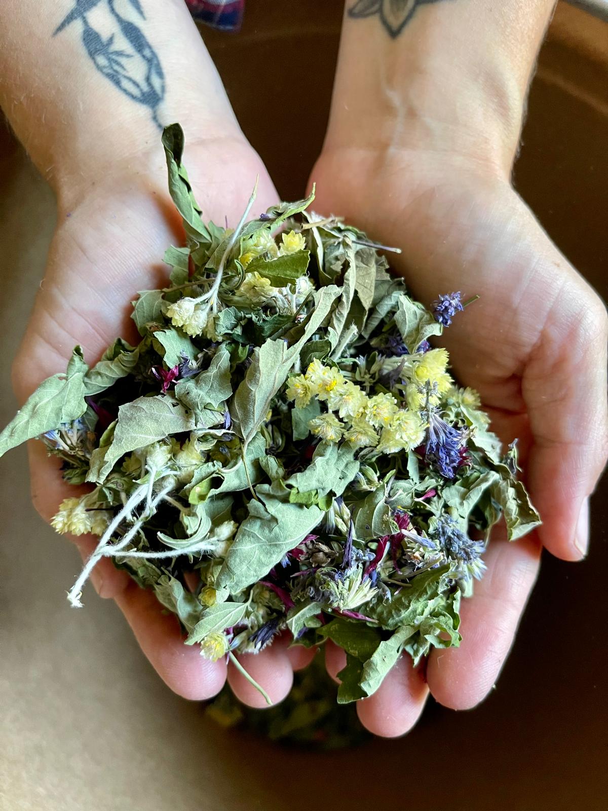 Comment créer des tisanes vivantes et bonnes