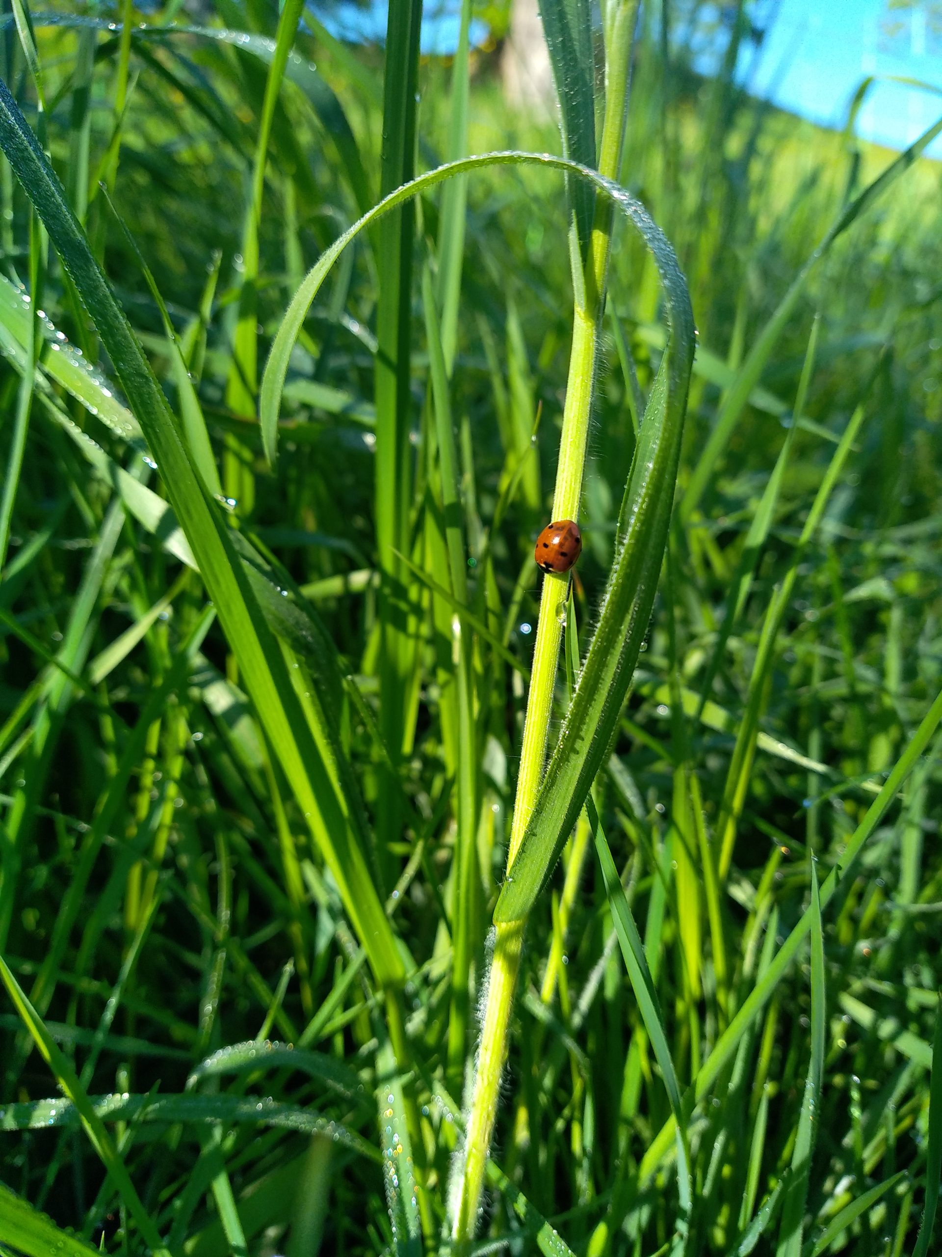 De bio, nous passons à Bio Bourgeon !