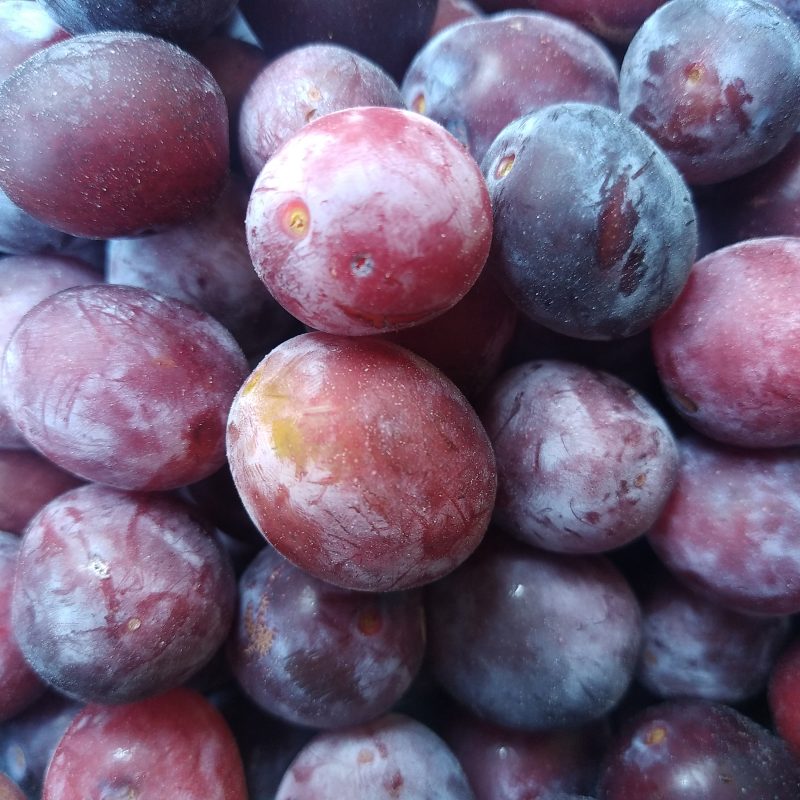 Bonbons de fruit damasson et agastache