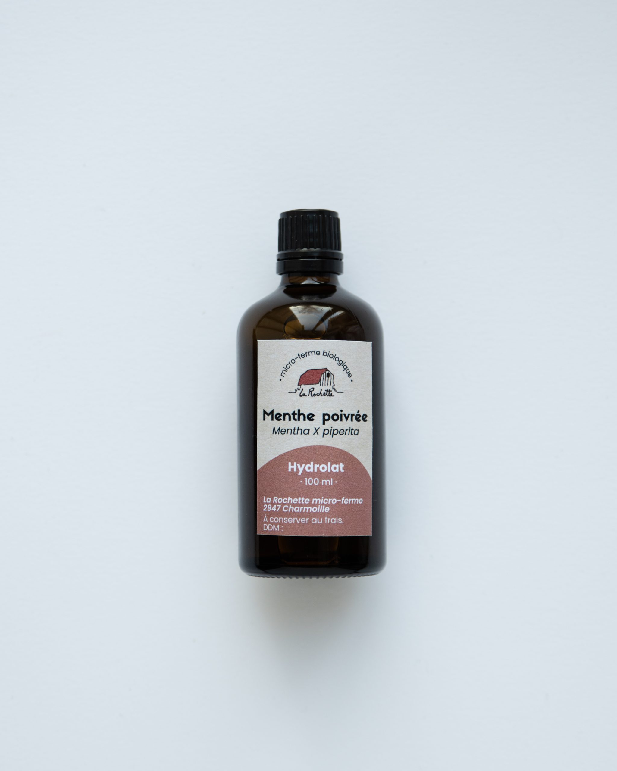 Hydrolat de Menthe poivrée