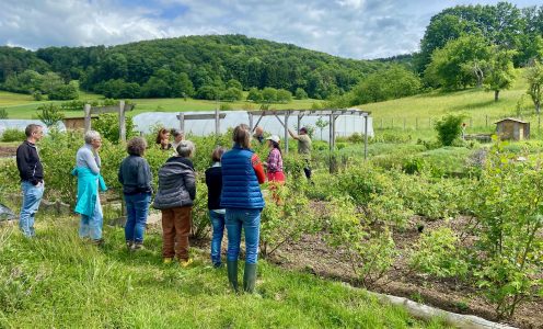 Permaculture Arc Jurassien au jardin