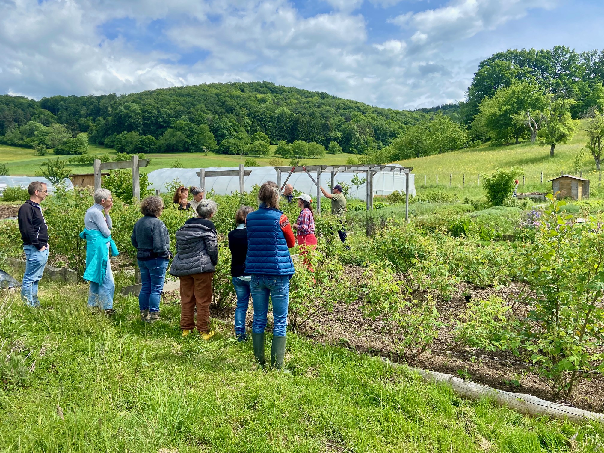 Permaculture Arc Jurassien au jardin